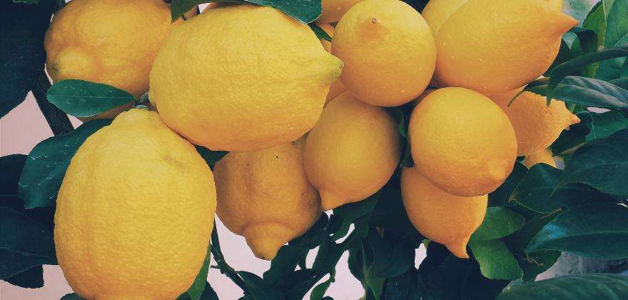 Festa del limone di Mentone